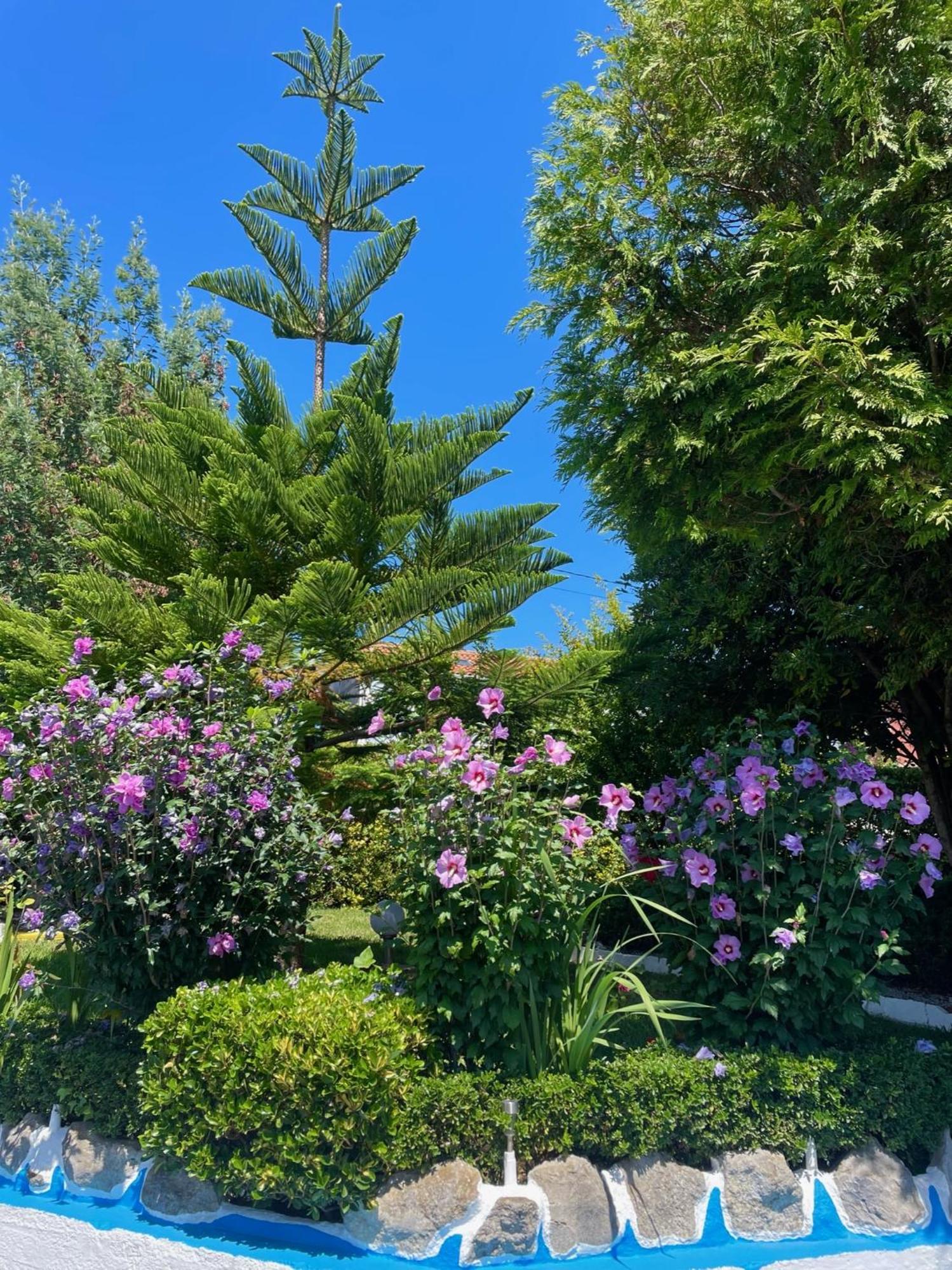 فندق El Jardin سوتو دي لا مارينا المظهر الخارجي الصورة
